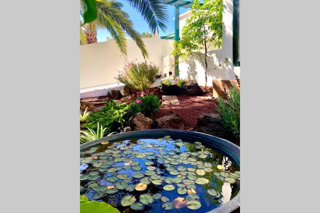 Unique, Stylish & Calm El Estanque By The Sea, Adults Only Villa Costa Teguise Dış mekan fotoğraf